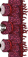 uma imagem do Boss Wall of Flesh